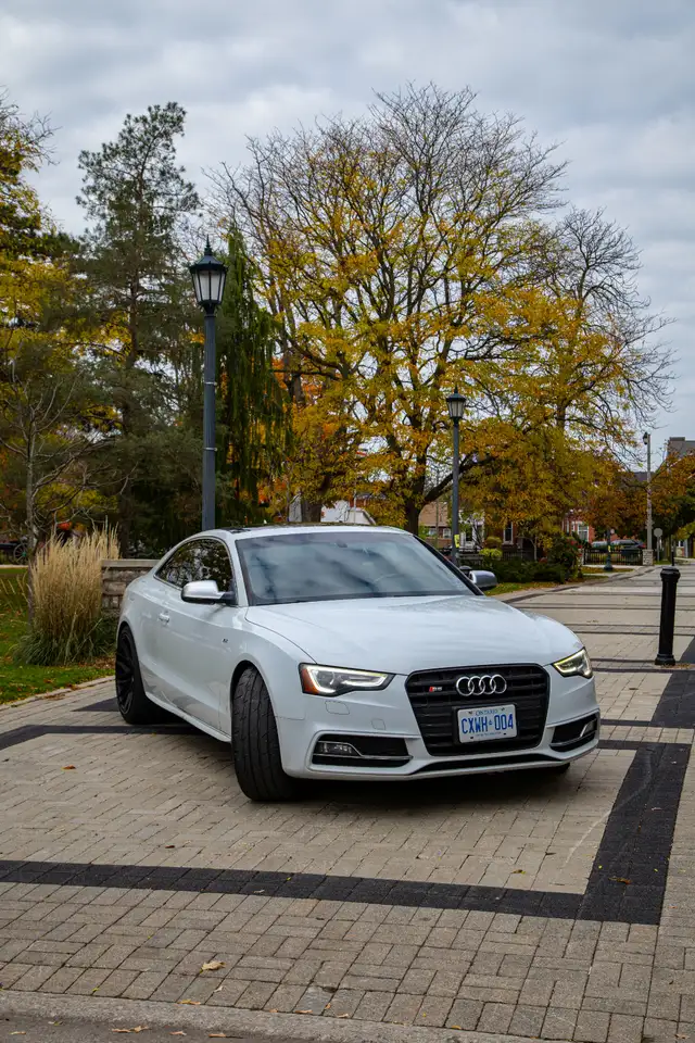 Audi S5 3.0T (Manual)