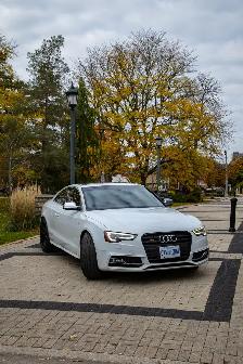 Audi S5 3.0T (Manual)