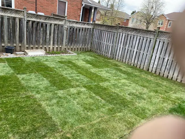 Sodding/New Grass Installation - Photo 2