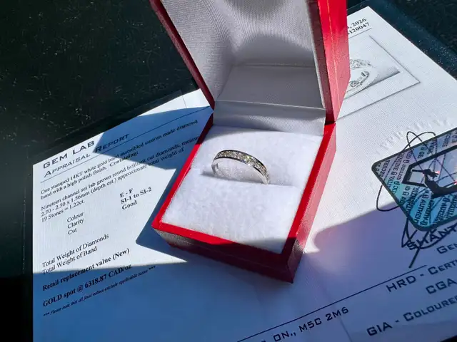 #819 - 10kt White Gold, 1/2 Carat Diamond Band, Size 6 - Photo 2