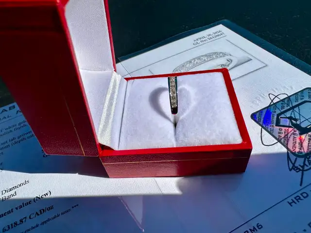 #819 - 10kt White Gold, 1/2 Carat Diamond Band, Size 6 - Photo 3