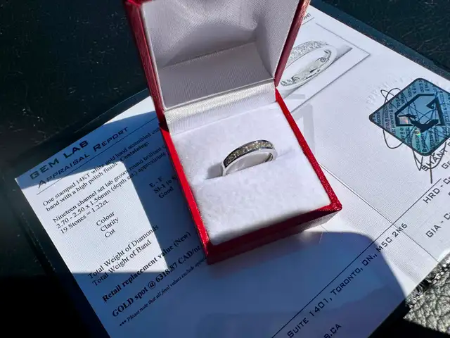 #819 - 10kt White Gold, 1/2 Carat Diamond Band, Size 6 - Photo 7