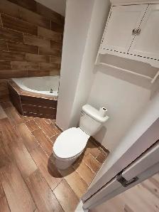 Grand studio rénové 650 pi² – Rosemont – Électros inclus - Photo 7