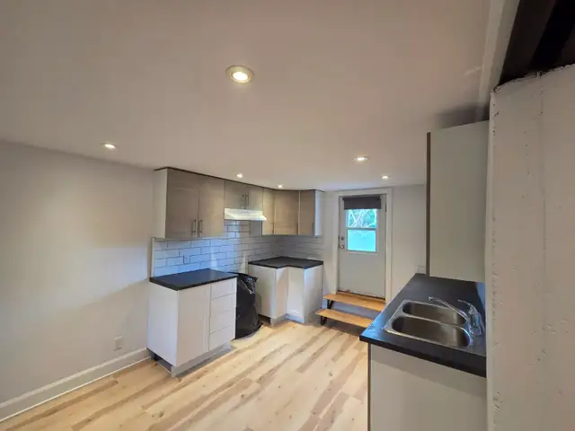 Grand studio rénové 650 pi² – Rosemont – Électros inclus - Photo 9