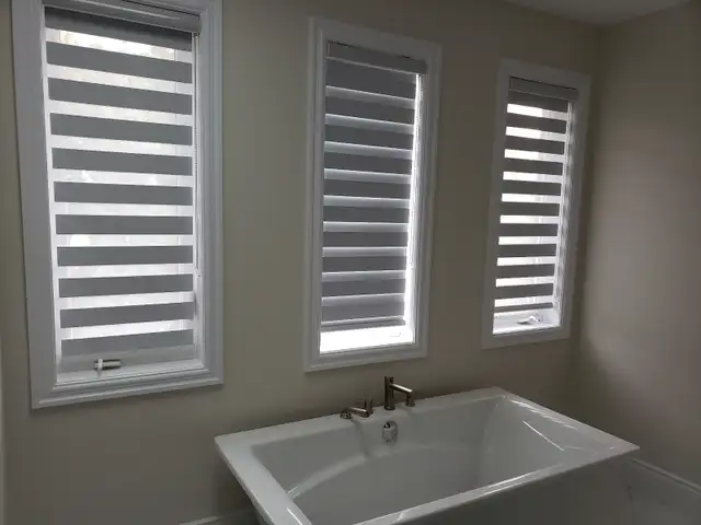 Zebra blinds for sale - Photo 4