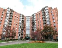 Nice Downtown One Bedroom Apartment in High-Rise for Rent!