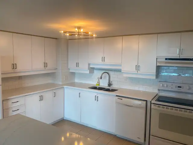 Nice Downtown One Bedroom Apartment in High-Rise for Rent! - Photo 5