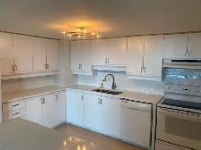 Nice Downtown One Bedroom Apartment in High-Rise for Rent! - Photo 5