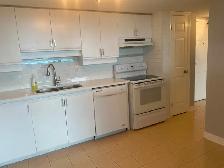 Nice Downtown One Bedroom Apartment in High-Rise for Rent! - Photo 6
