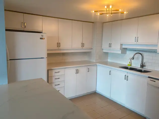 Nice Downtown One Bedroom Apartment in High-Rise for Rent! - Photo 7