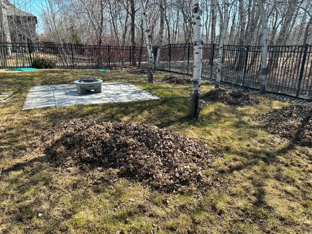 Green Envy Yard Care Services - Photo 3