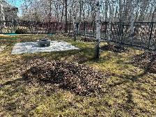 Green Envy Yard Care Services - Photo 3