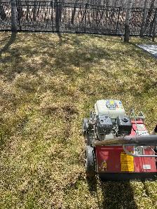 Green Envy Yard Care Services - Photo 4