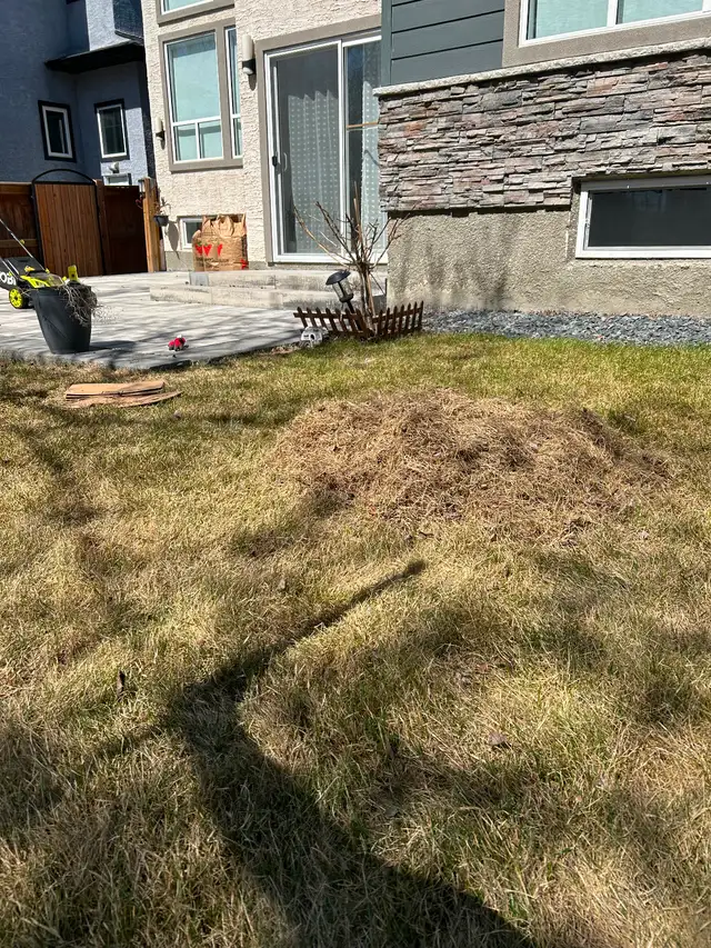 Green Envy Yard Care Services - Photo 5