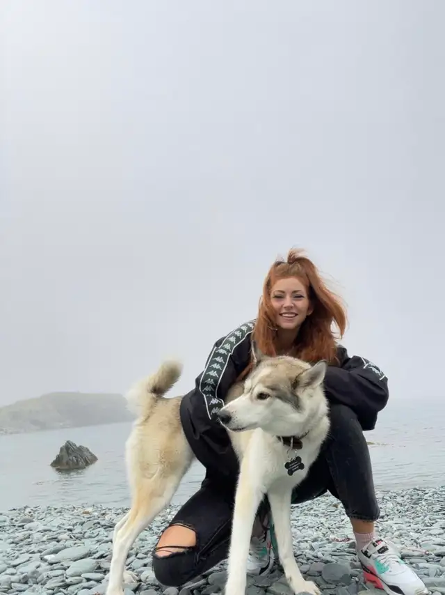 Northbound Paw Dog Boarding and daycare – Liverpool & Bayly Area