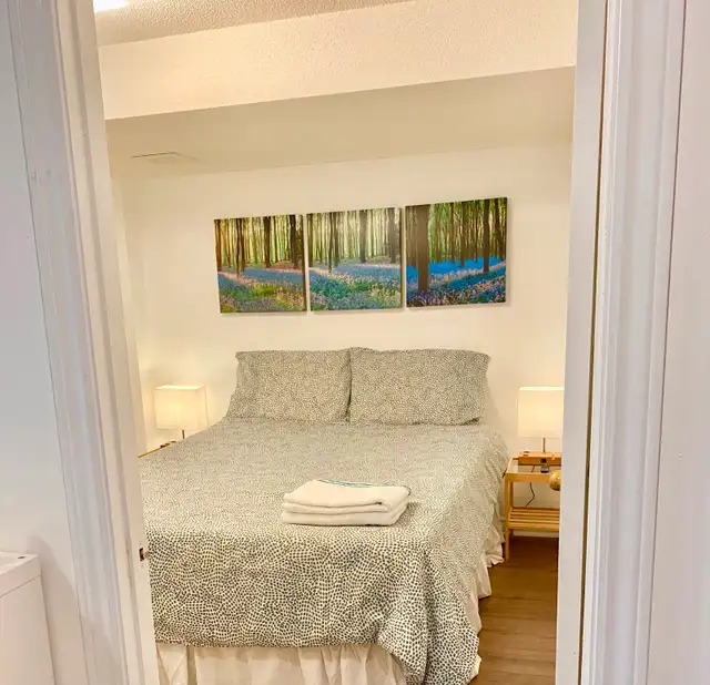 Furnished basement for 1 person in Etobicoke near Woodbine Mall - Photo 3