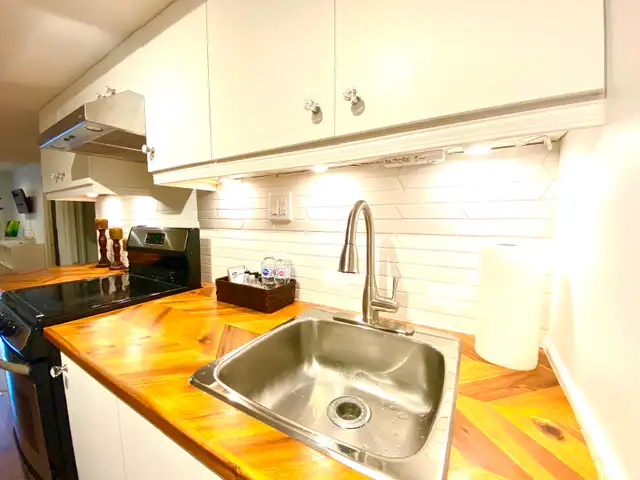 Furnished basement for 1 person in Etobicoke near Woodbine Mall - Photo 4