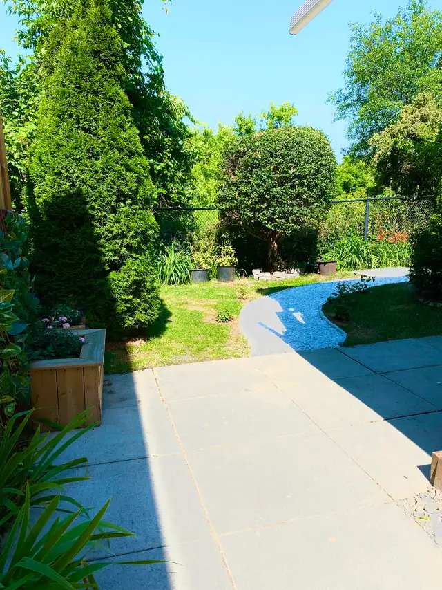 Furnished basement for 1 person in Etobicoke near Woodbine Mall - Photo 9