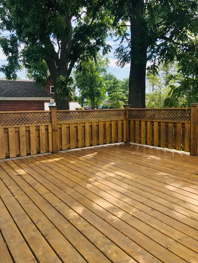 Beautiful Apartment - Photo 10
