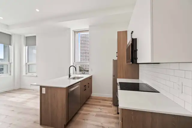 BRAND NEW 1 Bedroom Apartment! Heart Of Downtown! - Photo 4