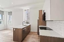 BRAND NEW 1 Bedroom Apartment! Heart Of Downtown! - Photo 4