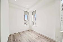 BRAND NEW 1 Bedroom Apartment! Heart Of Downtown! - Photo 8