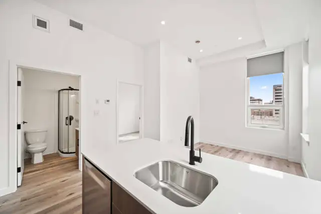 BRAND NEW 1 Bedroom Apartment! Heart Of Downtown! - Photo 10