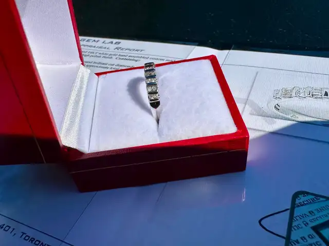 #788 - 14kt White Gold, 1/4 Carat Diamond Band, Size 5 3/4 - Photo 5