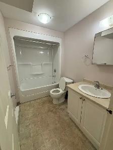 1 Bedroom apartment in a clean apartment building. - Photo 8