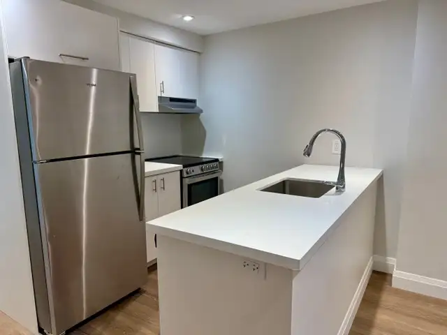 Annex 3 Bdrm/2 Bath lower level unit June 1st - Photo 6