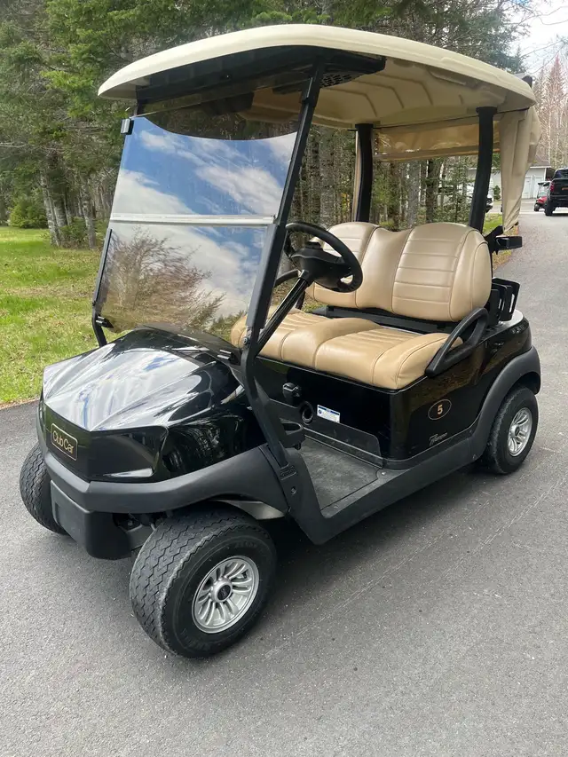 Golf Carts Gas Electric New & Used - Photo 2