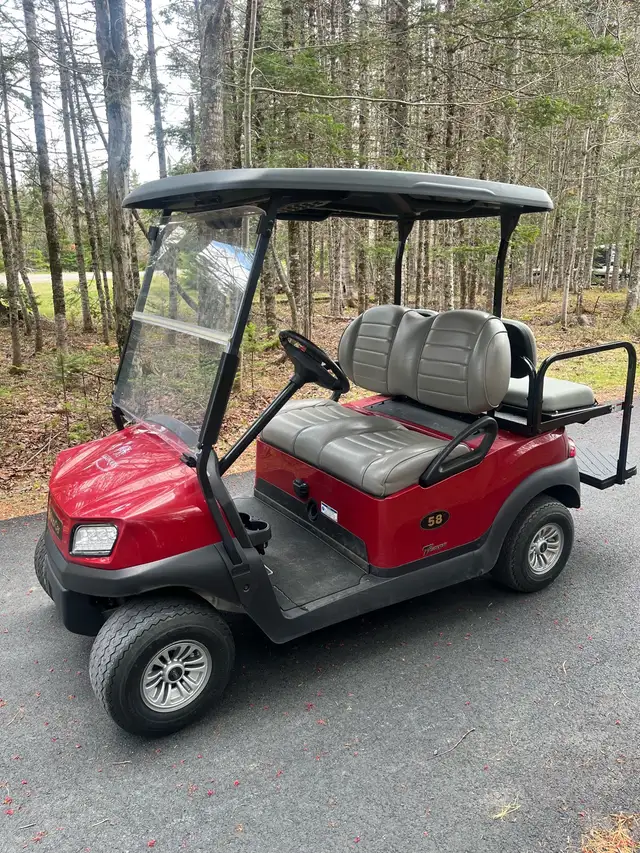 Golf Carts Gas Electric New & Used - Photo 3