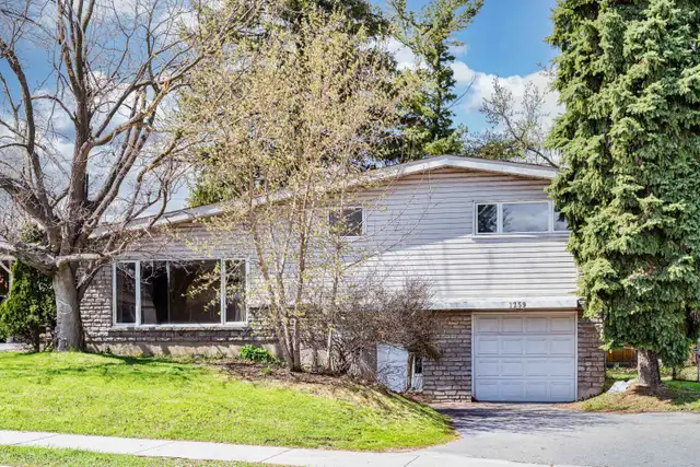 Fully Renovated 6-Bedroom Home at 1259 Meadowlands Dr E - Photo 11