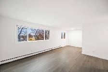 Spacious NEWLY Renovated 1 Bedroom Apartment! - Photo 4