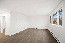 Spacious NEWLY Renovated 1 Bedroom Apartment! - Photo 5