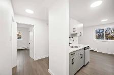 Spacious NEWLY Renovated 1 Bedroom Apartment! - Photo 6