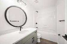 Spacious NEWLY Renovated 1 Bedroom Apartment! - Photo 8
