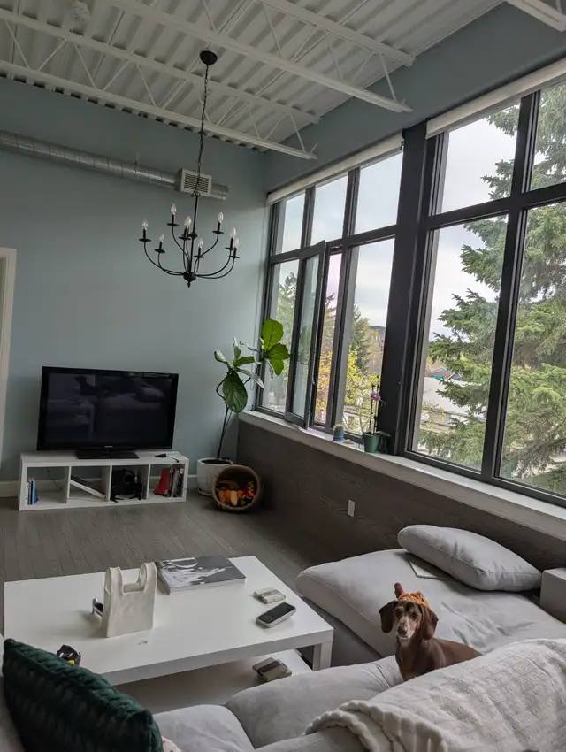 Unique Uptown Apartment