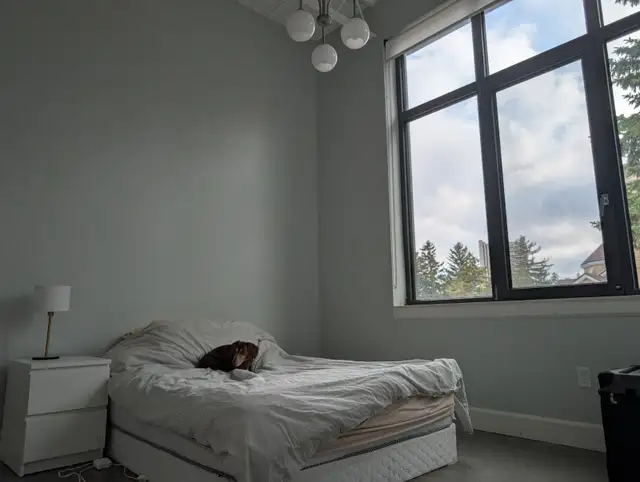 Unique Uptown Apartment - Photo 4