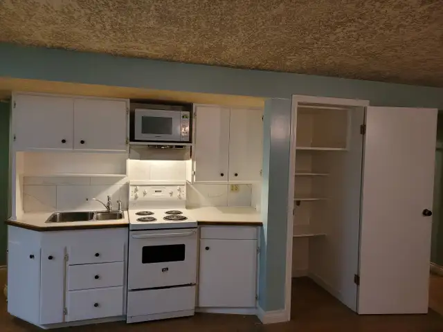 Available Immediately, two bedroom basement suite - Photo 4