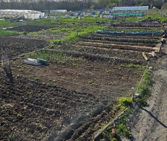 Jardin communautaire
