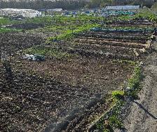 Jardin communautaire