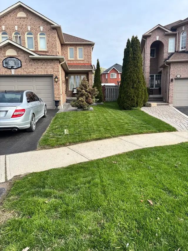 lawn cutting