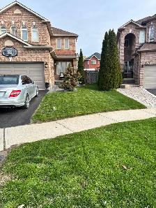 lawn cutting