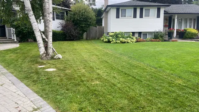 lawn cutting - Photo 5