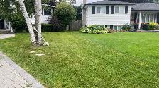 lawn cutting - Photo 5