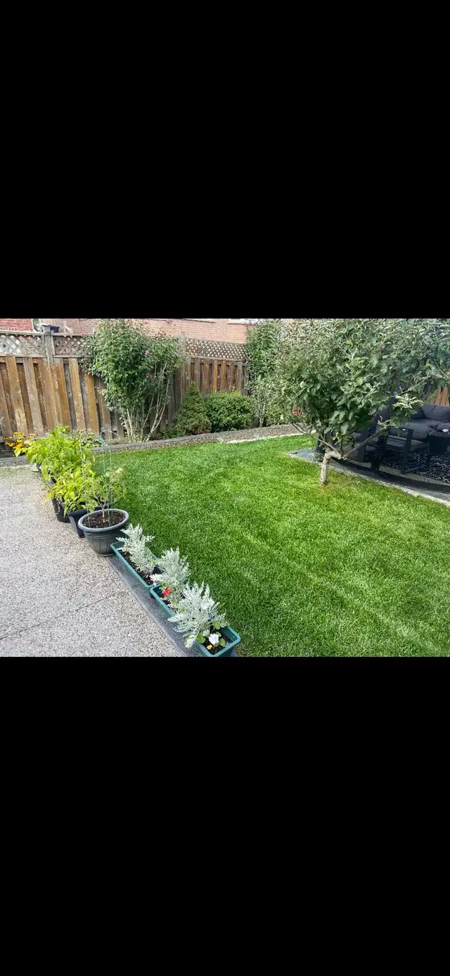 lawn cutting - Photo 6