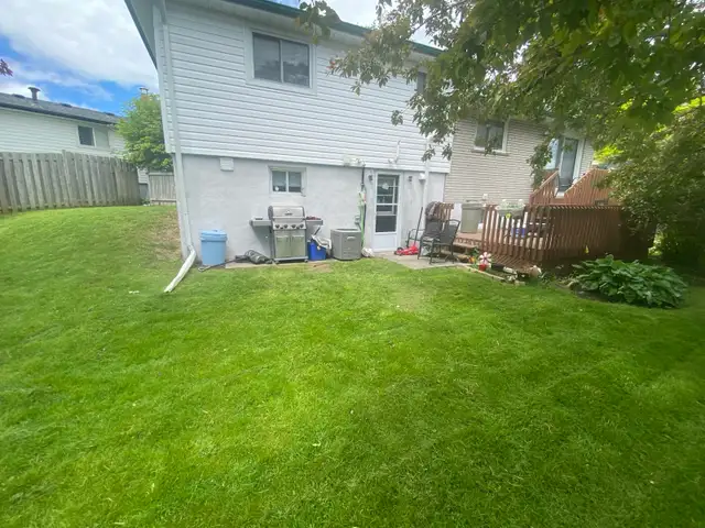 lawn cutting - Photo 7