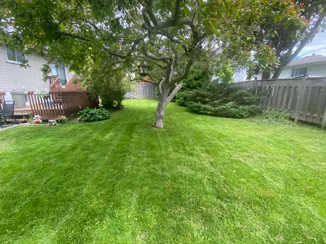 lawn cutting - Photo 8