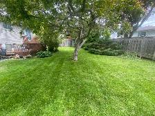 lawn cutting - Photo 8